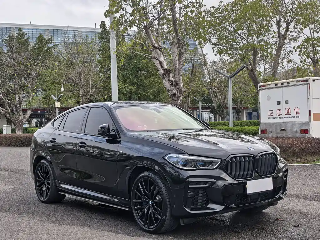 BMW X6