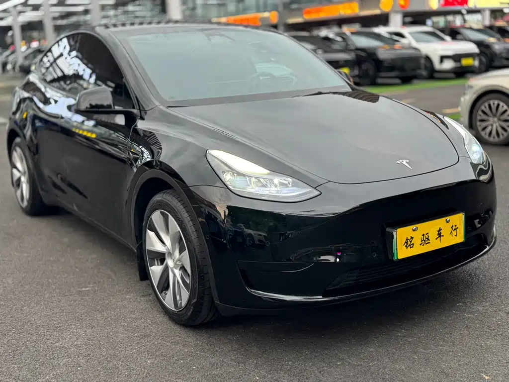 Tesla Model Y — миниатюра 3