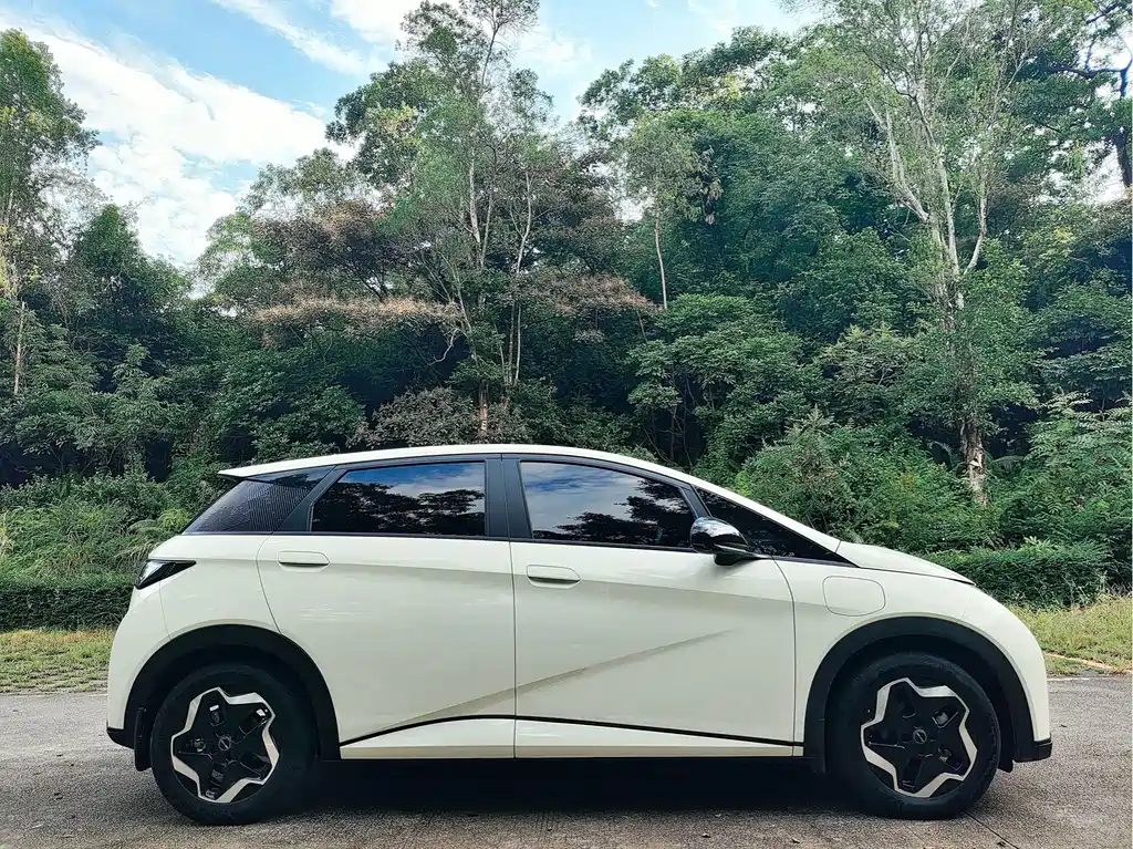 BYD Dolphin — миниатюра 6