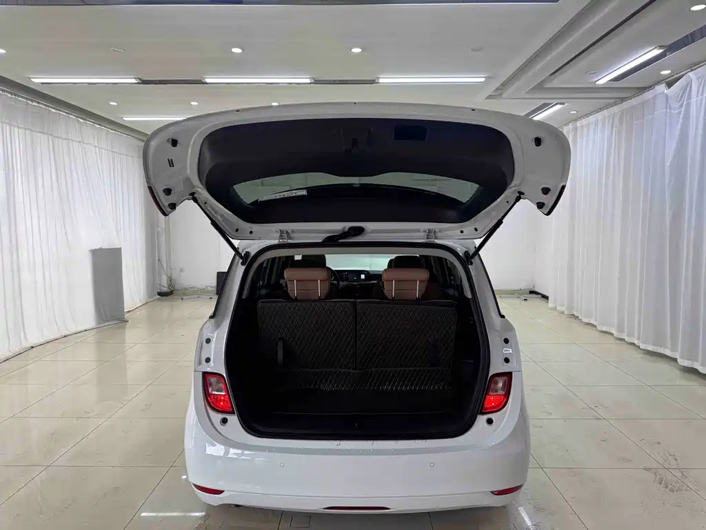 Buick GL6 — миниатюра 21