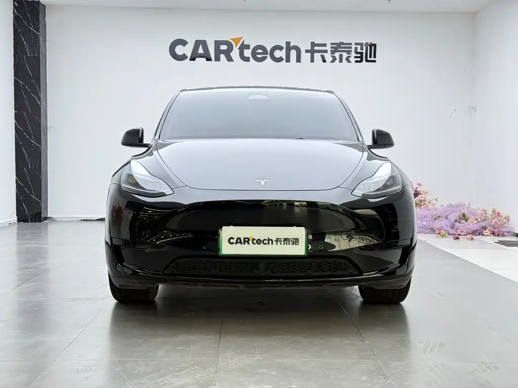 Tesla Model Y — миниатюра 2