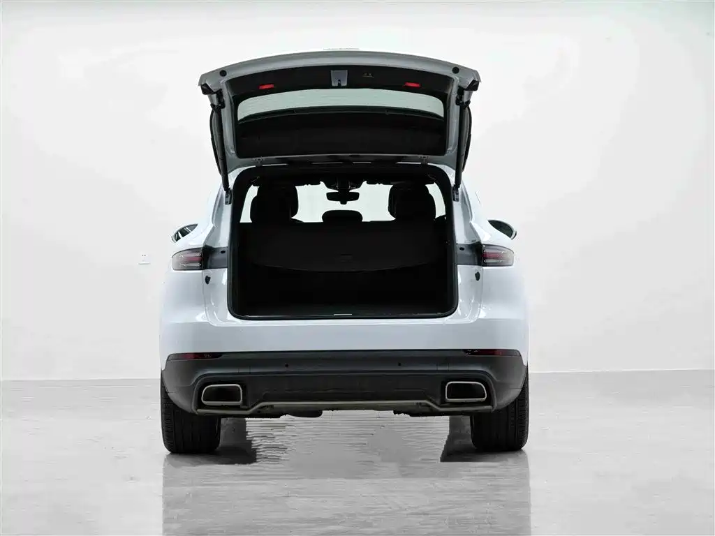 PORSCHE CAYENNE NEW ENERGY