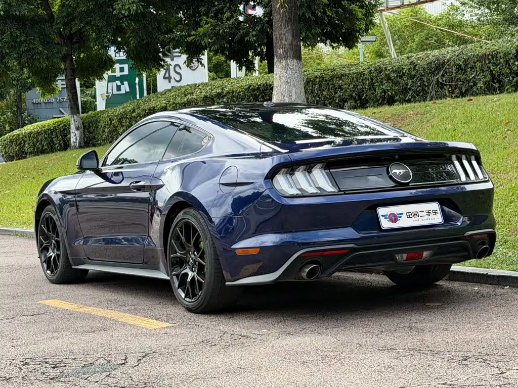Ford Mustang — миниатюра 4