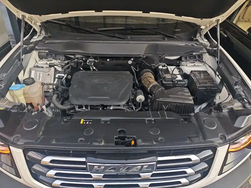 Haval Big Dog — миниатюра 20