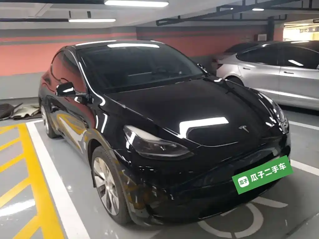 Tesla Model Y — миниатюра 4