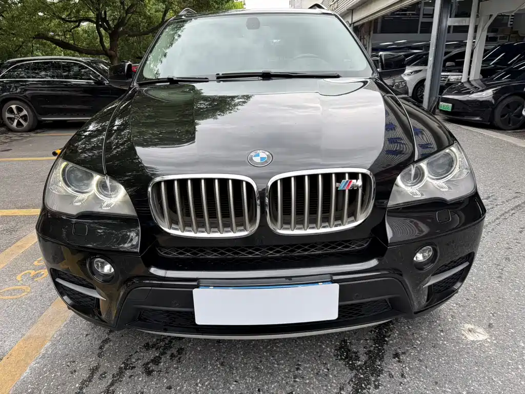 BMW X5 (Import) — миниатюра 6