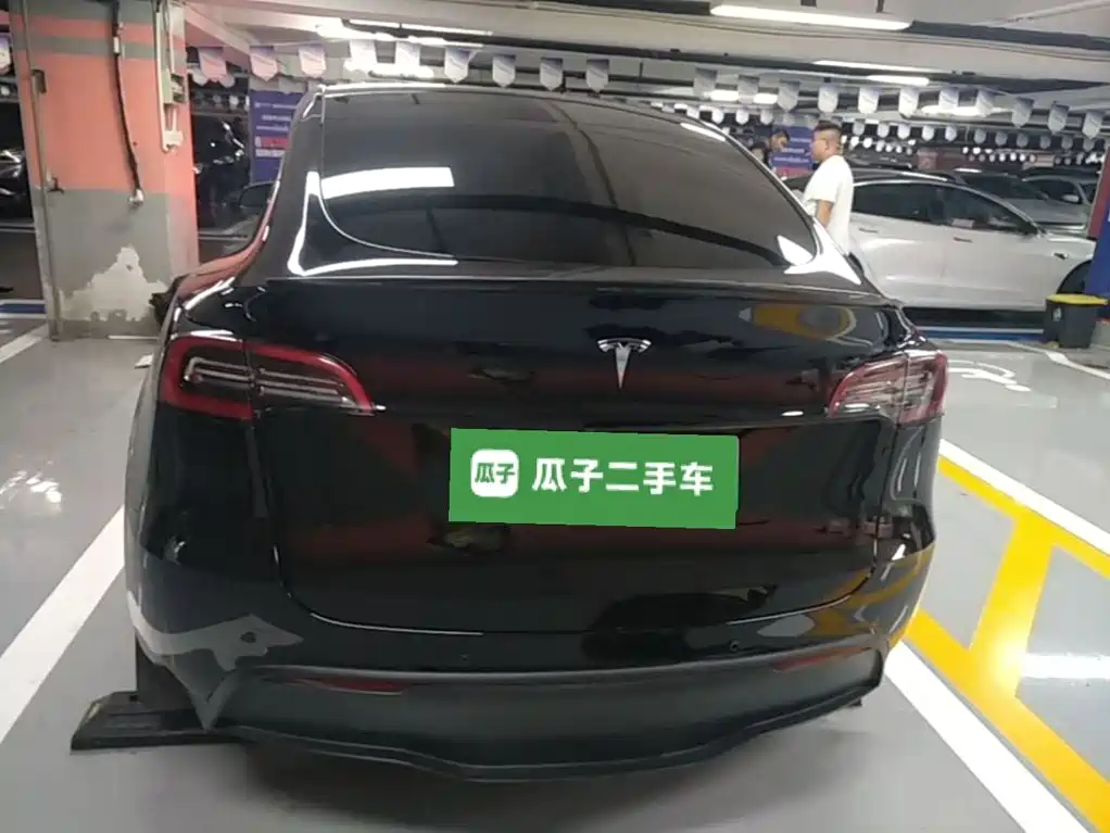 Tesla Model Y — миниатюра 6