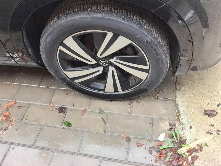 Volkswagen Tavendor — миниатюра 6
