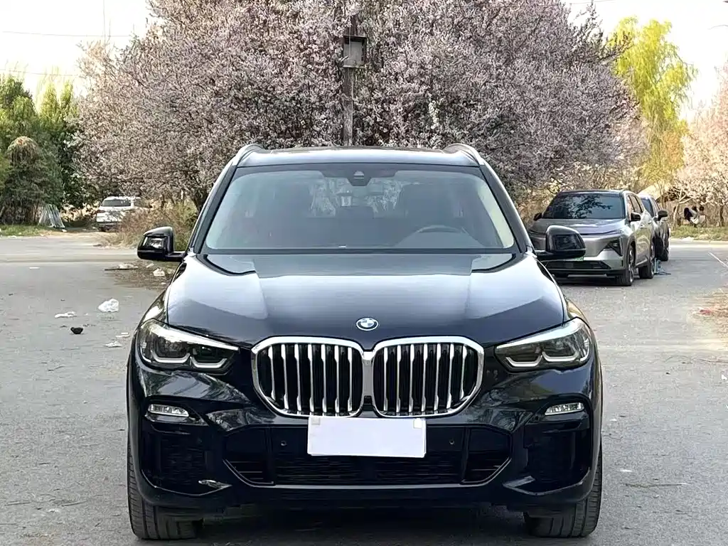 BMW X5 (Import) — миниатюра 2