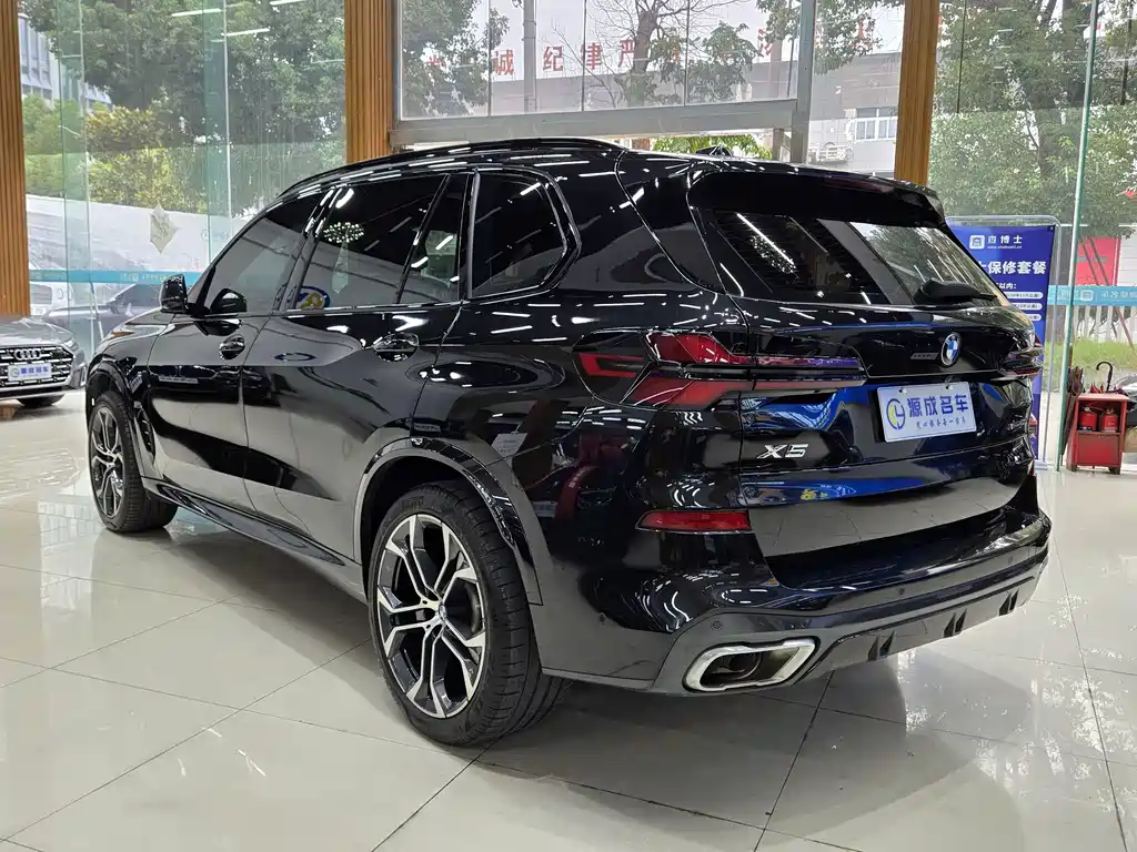 BMW X5 — миниатюра 11