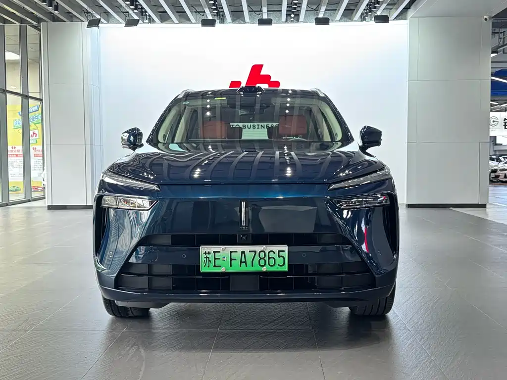 WEI PAI WEI BRAND BLUE MOUNTAIN