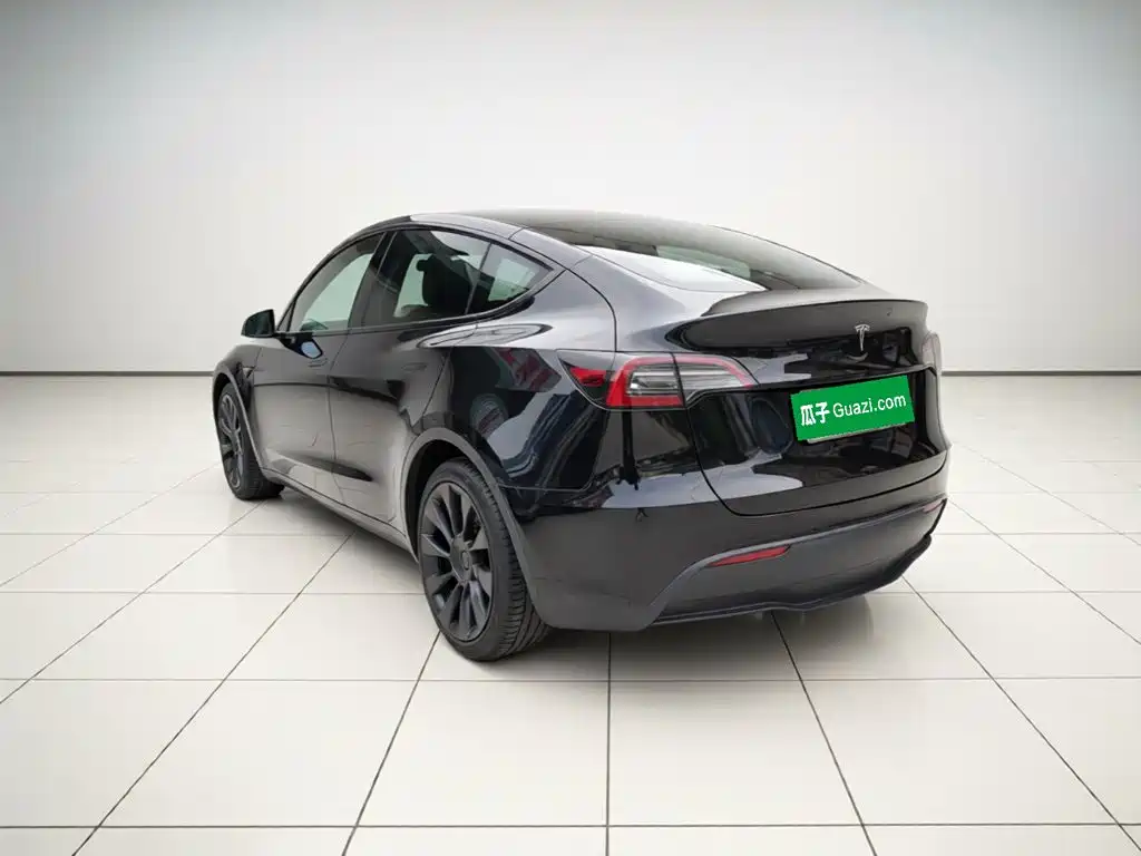 Tesla Model Y — миниатюра 4