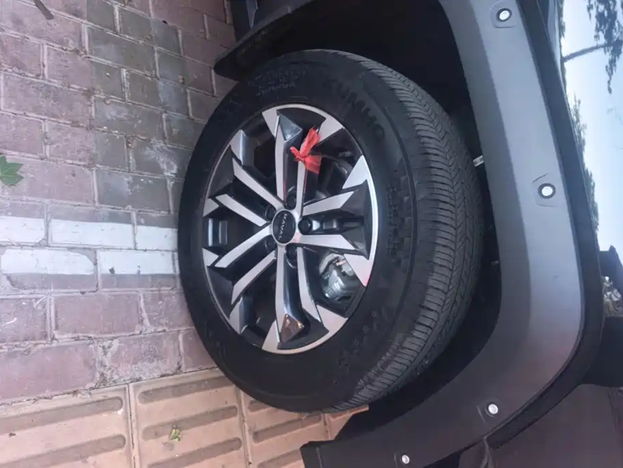 Haval Big Dog PLUS — миниатюра 6
