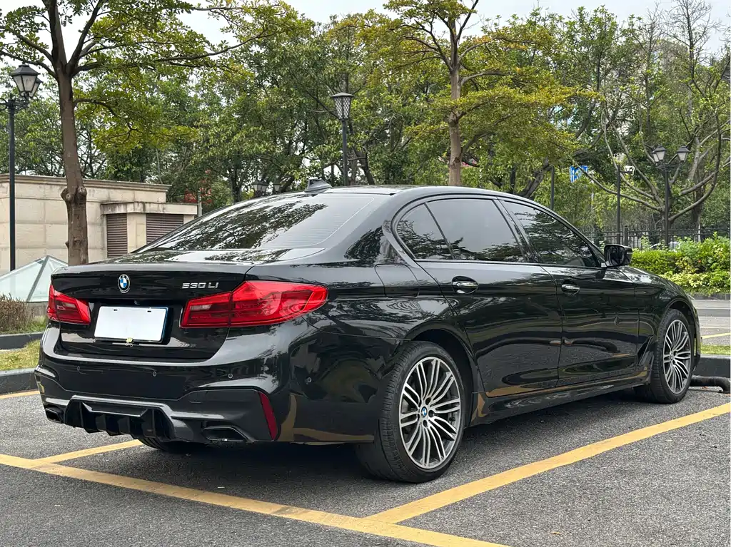 BMW 5 SERIES