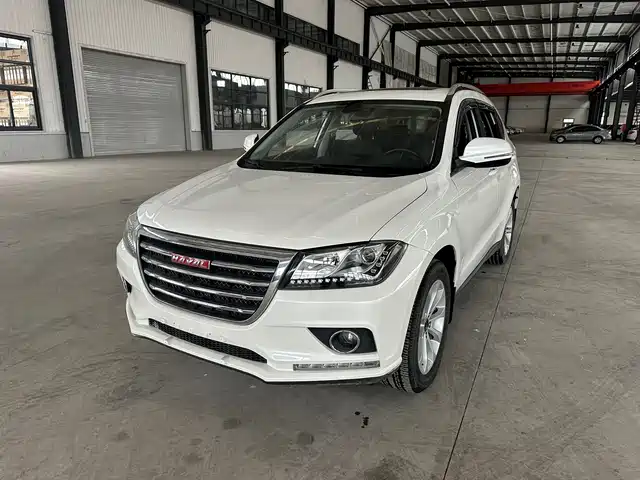 HAVAL H2