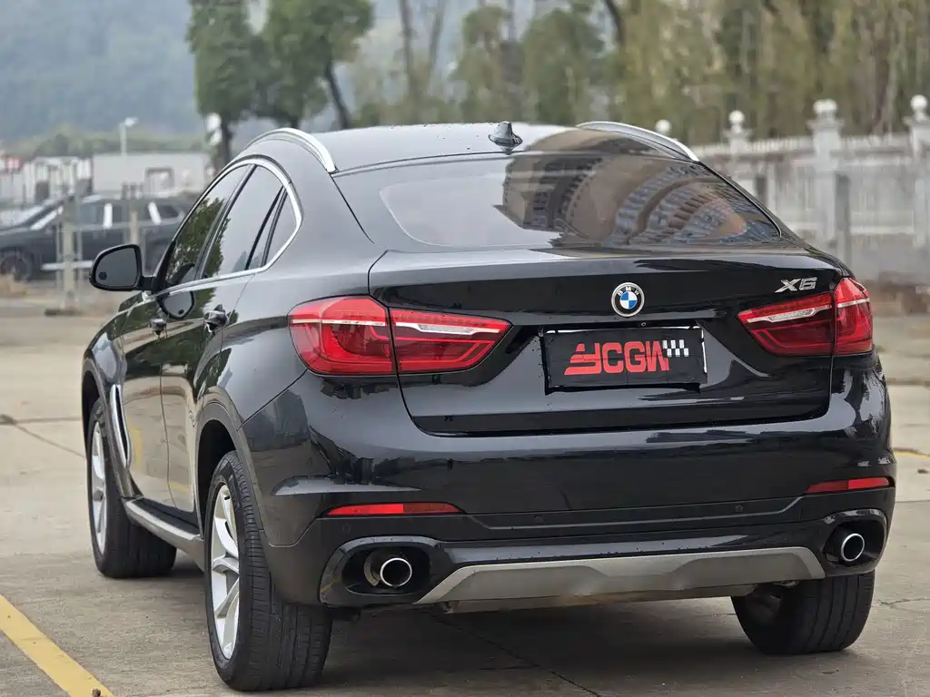 BMW X6 — миниатюра 16