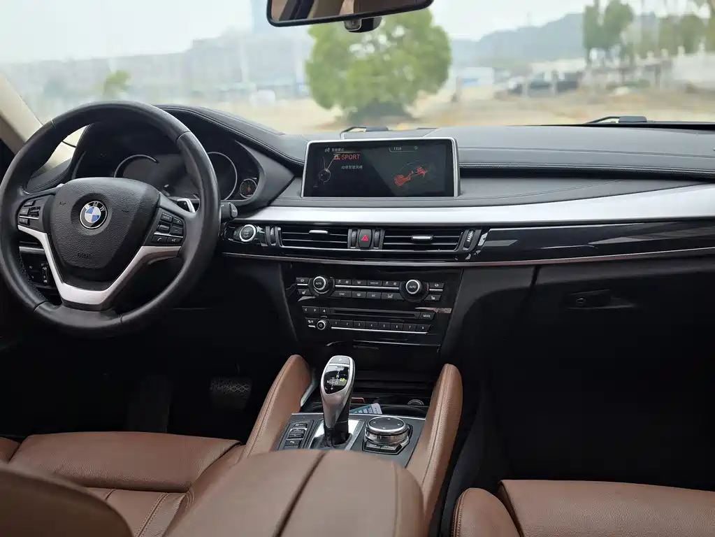 BMW X6 — миниатюра 9