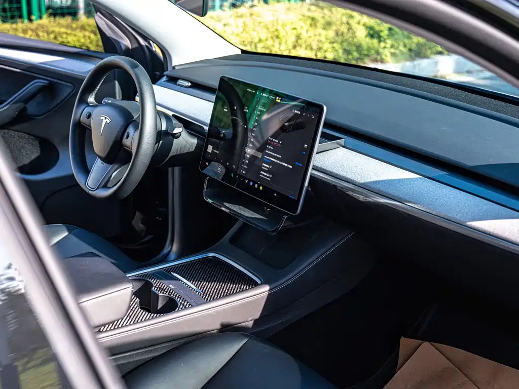 Tesla Model Y — миниатюра 10