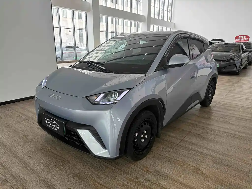 BYD Seagull