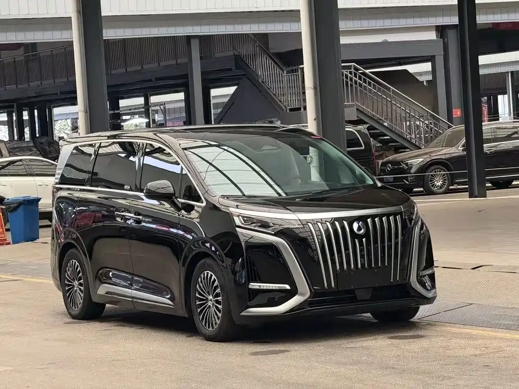 Denza Denza D9 — миниатюра 3