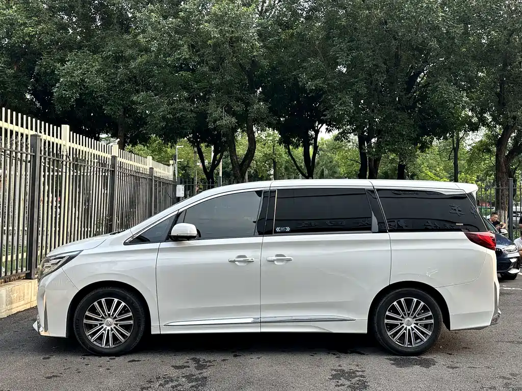 GAC Motor Trumpchi M8 — миниатюра 12