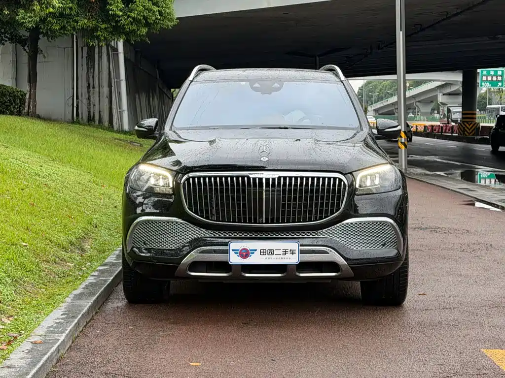 Mercedes-Benz GLS — миниатюра 2
