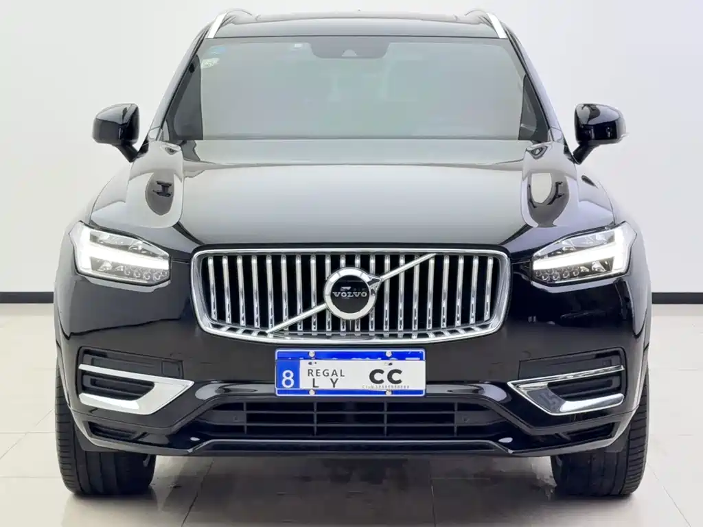 Volvo XC90 — миниатюра 3