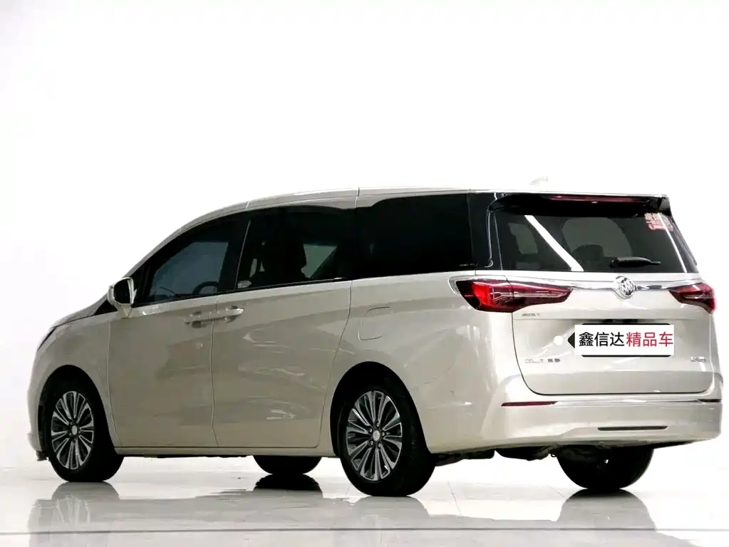 Buick GL8 — миниатюра 20