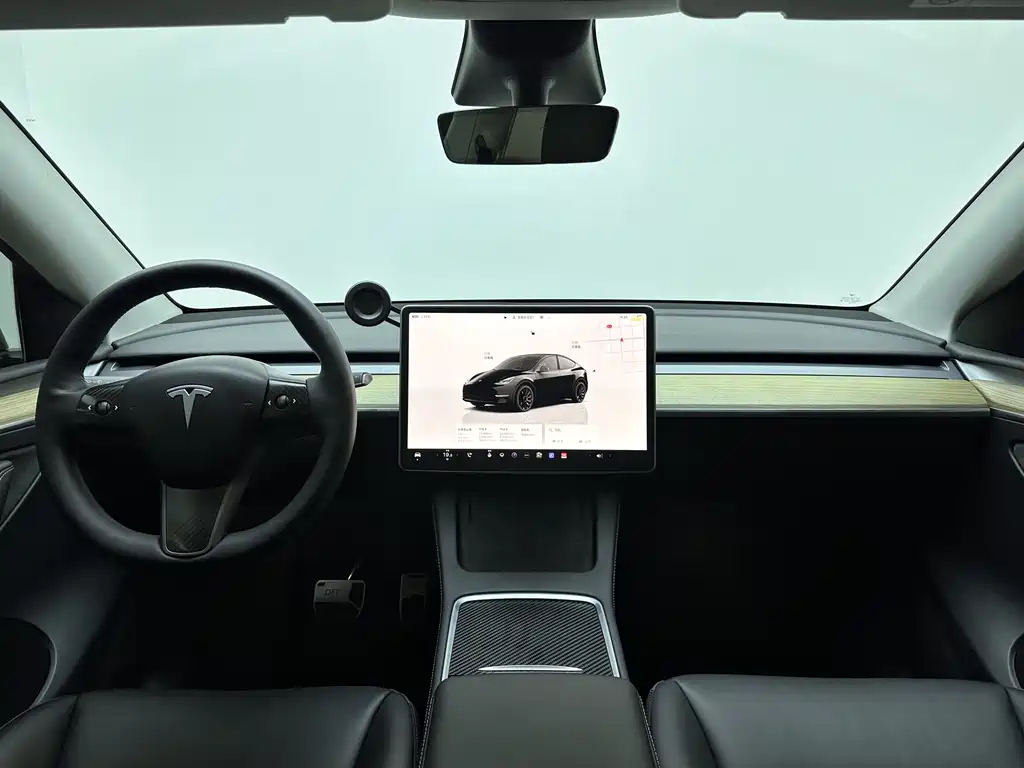 Tesla Model Y — миниатюра 14