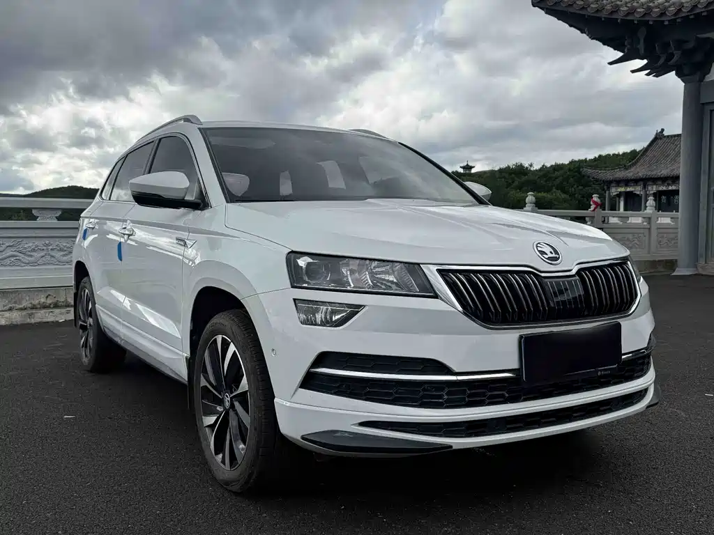 Skoda Karoq — миниатюра 3