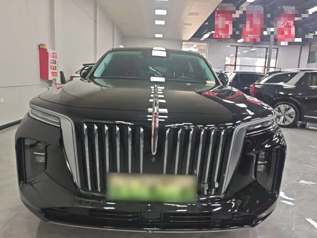 Hongqi Hongqi E-HS9 — миниатюра 3