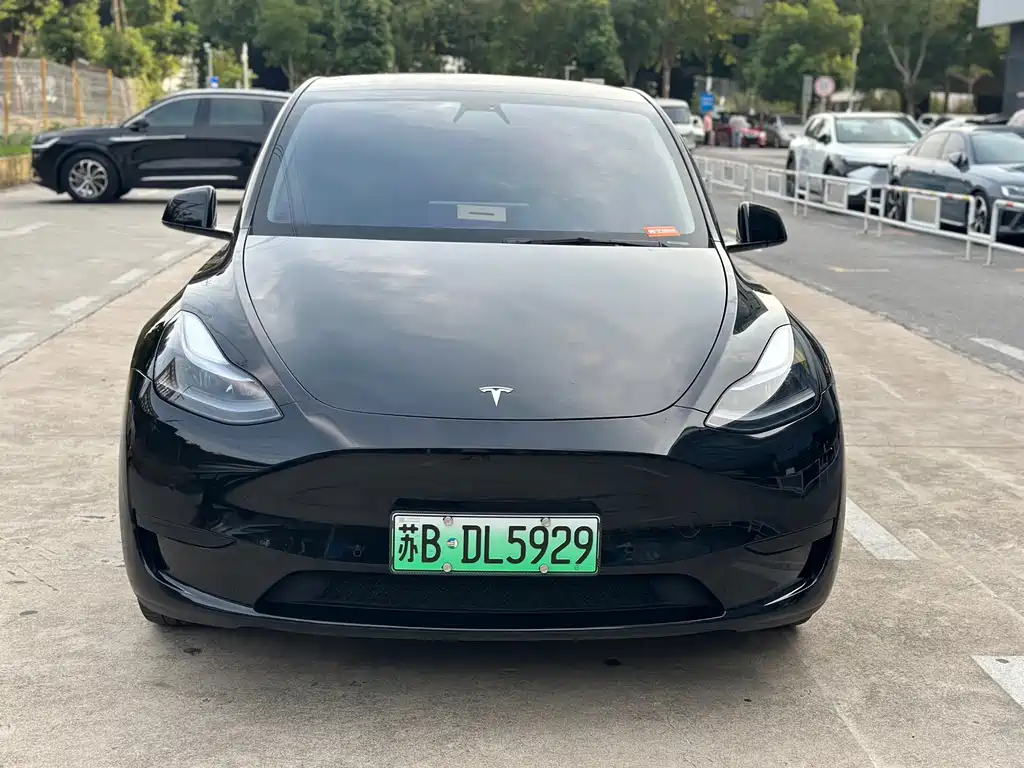 Tesla Model Y — миниатюра 2