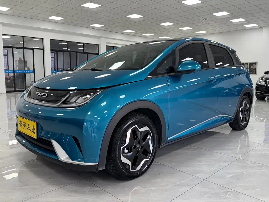 BYD Dolphin