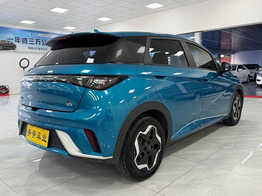 BYD Dolphin — миниатюра 7