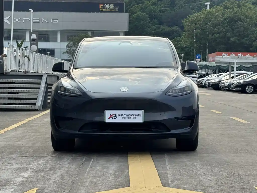 Tesla Model Y — миниатюра 2
