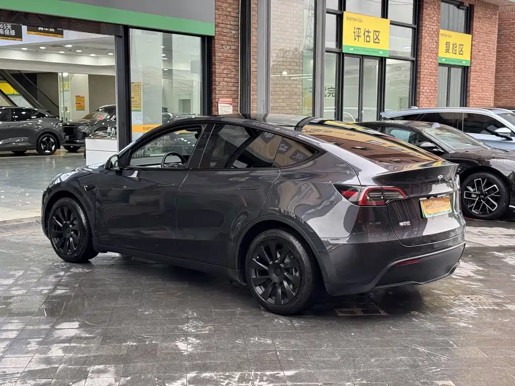 Tesla Model Y — миниатюра 6