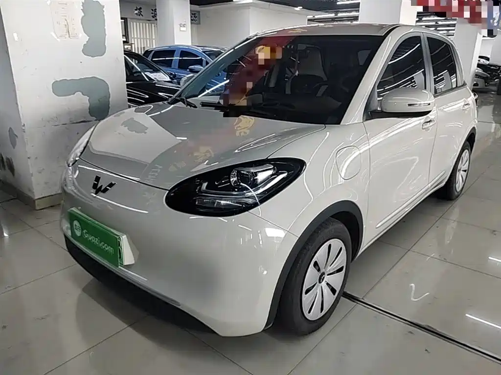 Wuling Bingo 2024