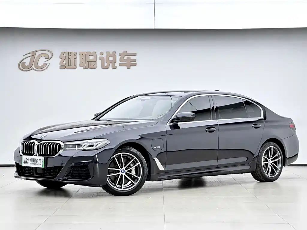 BMW 5 Series New Energy 2022