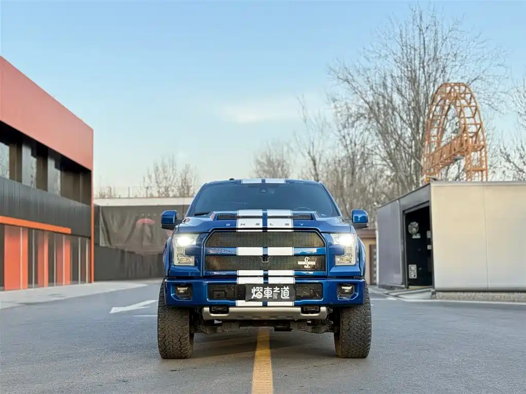 FORD F 150 RAPTOR