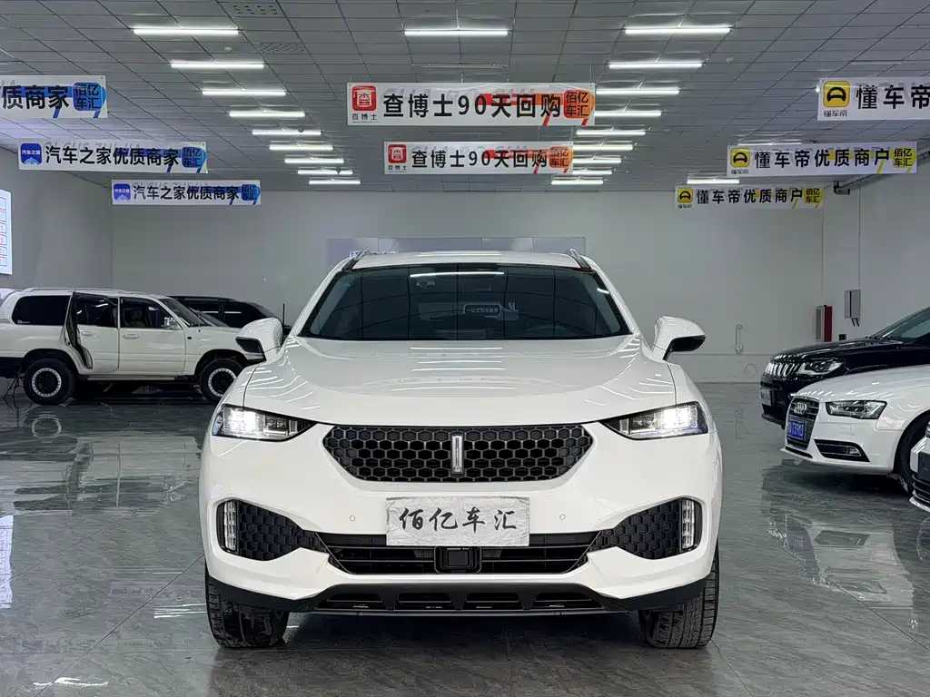 WEI PAI WEI BRAND VV7