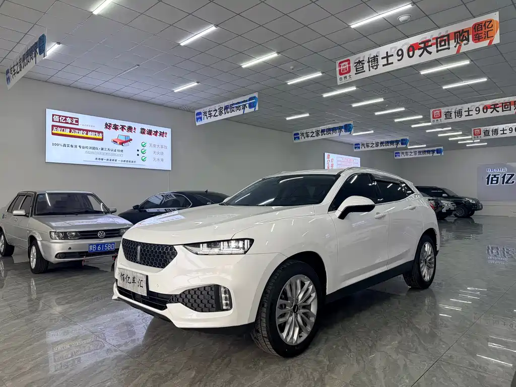 WEI PAI WEI BRAND VV7