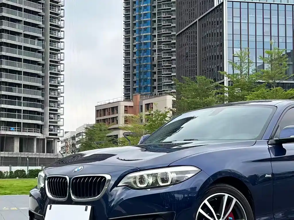 BMW 2 Series (Import) — миниатюра 5