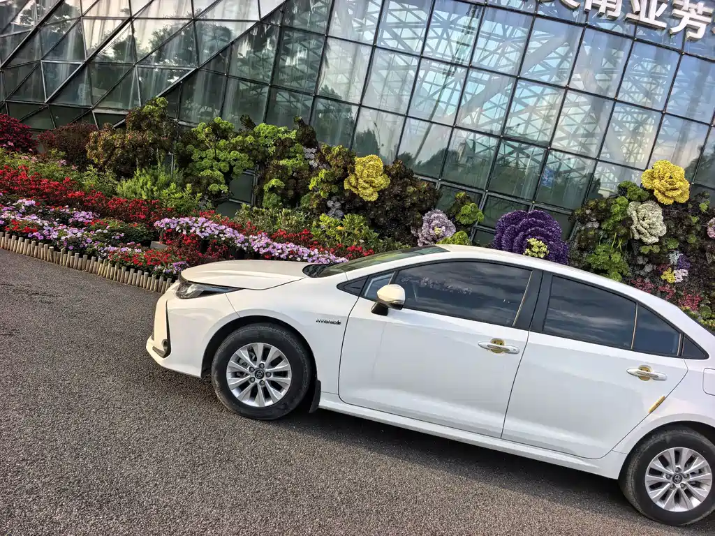Toyota Corolla — миниатюра 4