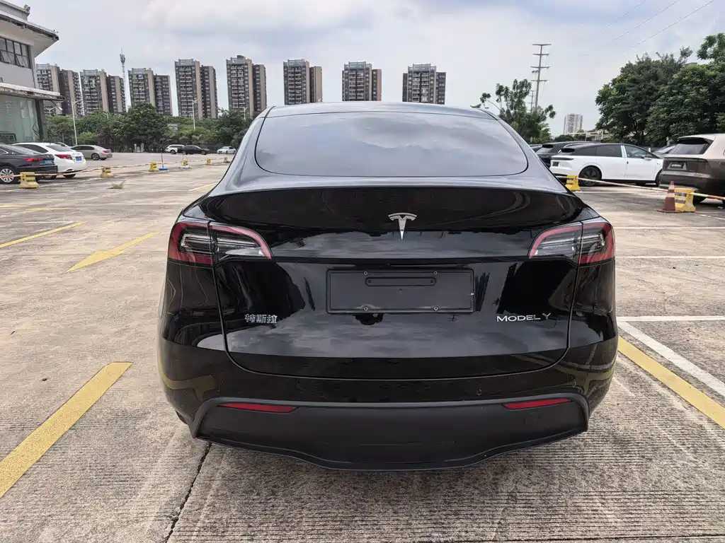 Tesla Model Y — миниатюра 11