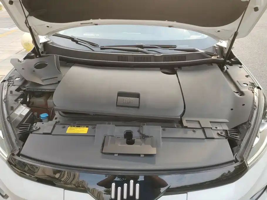 WM Motor EX5 — миниатюра 10