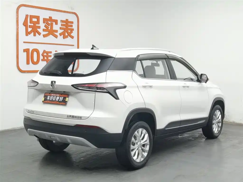 BAOJUN 510