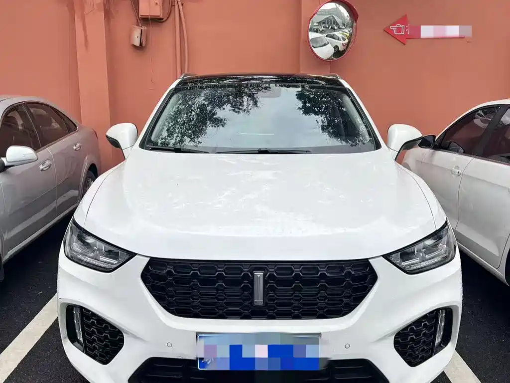 WEI PAI WEI BRAND VV5