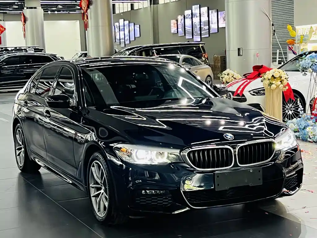 BMW 5 Series — миниатюра 3