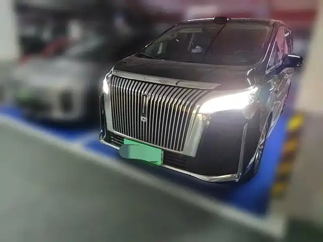 2025 Wey Gaoshan