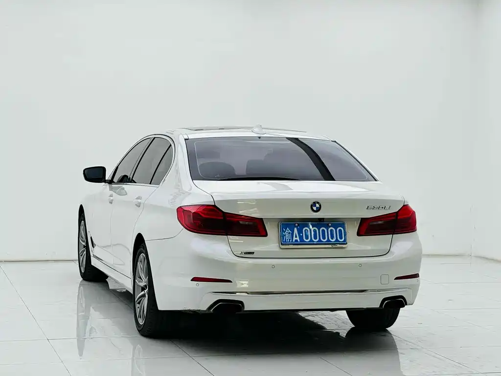 BMW 5 Series 5 2018 530Li Premium Luxury